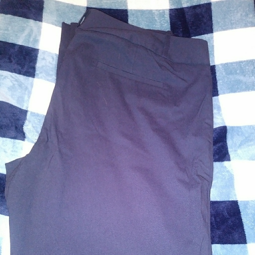 The limited Women's Blue dress pants